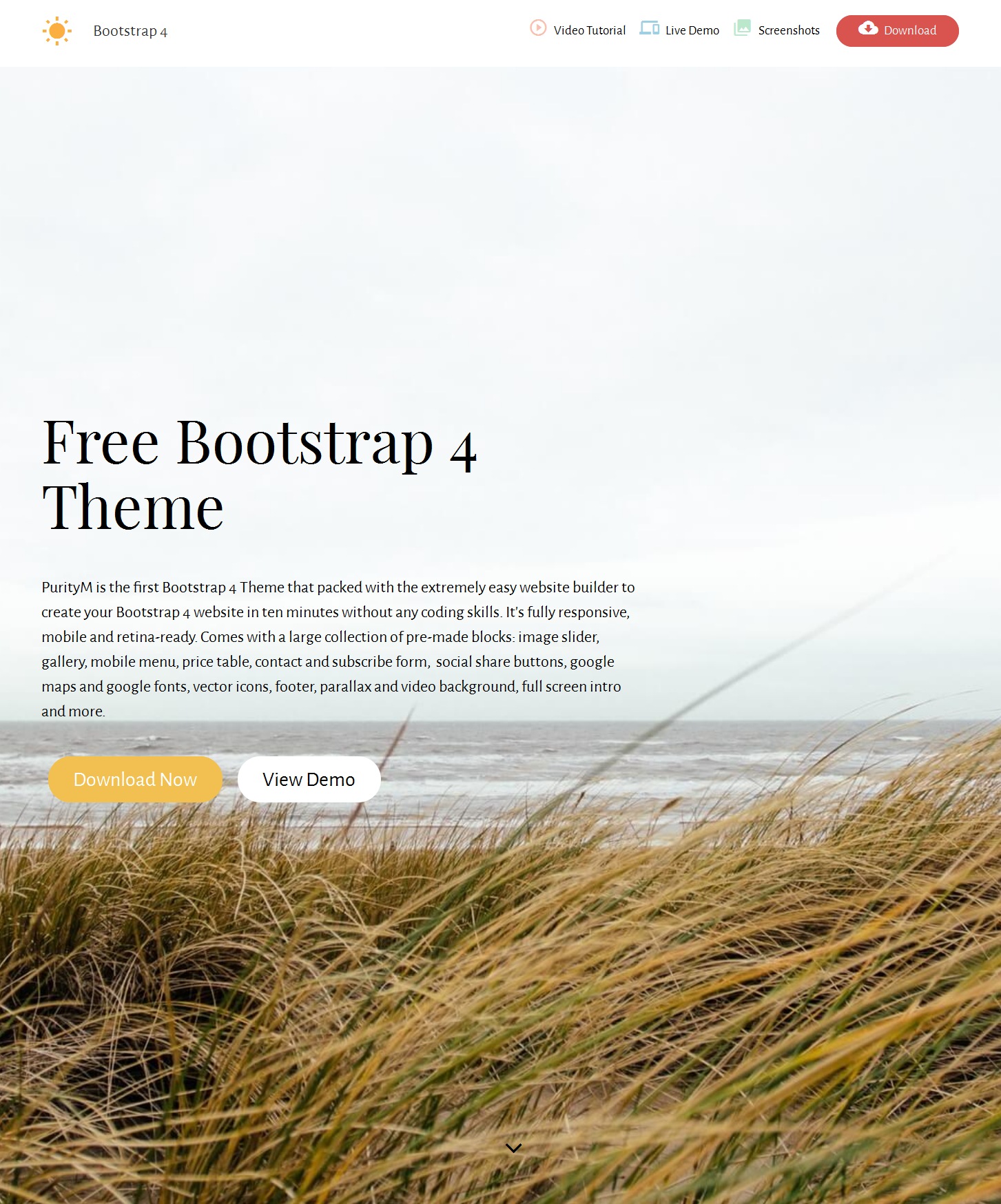 HTML5 Bootstrap Design Theme